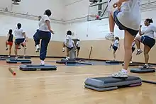 A group of women exercise in a gymnasium, stepping on plastic step devices.