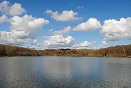 A lake surrounded by trees