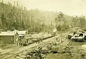 Powelltown tramway