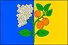 Flag of Prackovice nad Labem