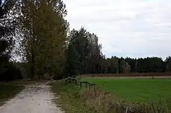 Praczka village, view towards the Czarna Włoszczowska river.