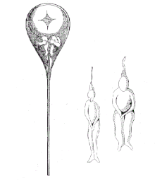 Image 34Sperms as preformed humans. Painting of Nicolaas Hartsoeker 1695 (from History of genetics)