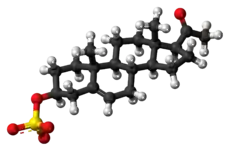 Ball-and-stick model of pregnenolone sulfate as an anion