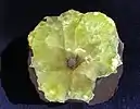 Sliced prehnite fragment with calcite core, 9.0 cm diameter.