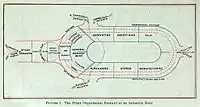 Prime Organization Elements of an Industrial Body.