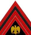 Primo caporale d'onoreFirst honorary corporal