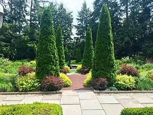 The garden from the house