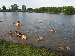 Swimming in pond near Romanovo, Romanovsky District