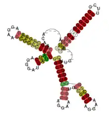 Pseudomonas RsmX Secondary Structure