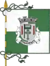 Flag of Benavente