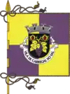 Flag of Carregal do Sal