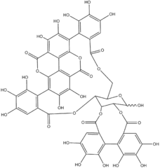 Chemical structure of  punicalagin