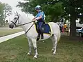 Prince William County Police Mounted Patrol