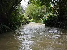 Pymmes Brook parallel to Crescent Road in 2021