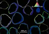 Tricolor (RGB) X-ray fluorescence image of the distribution of As (red), Fe (green), and Mn (blue) in coated quartz grains from a water treatment sand bed