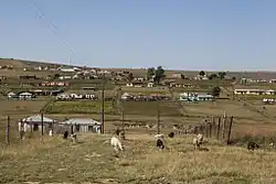 Qunu village