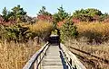 Quogue Village Wetlands Preserve