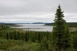 Eastern Canadian Shield taiga, a temperate needleleaf forest