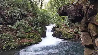 Cupatitzio River, Uruapan