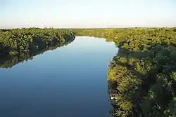 River forest near Río Queguay