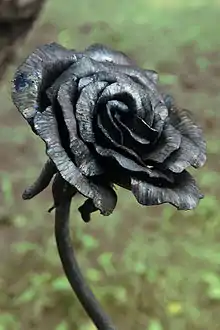 A Black Rose as Symbol of Ireland