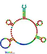 FMN riboswitch:  Secondary structure for the riboswitch marked up by sequence conservation. Family RF00050.