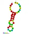 CRISPR-DR8: Secondary structure taken from the Rfam database. Family RF01321.