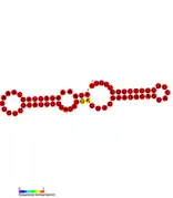 STnc290 Hfq binding RNA:  Predicted secondary structure taken from the Rfam database. Family RF01403.