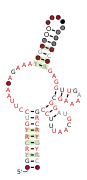 RAGATH-21 Secondary structure taken from the Rfam database. Family RF03097