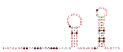 RAGATH-23 Secondary structure taken from the Rfam database. Family RF03099