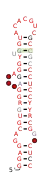 RAGATH-31 Secondary structure taken from the Rfam database. Family RF03101