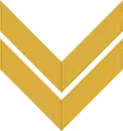 Chevron/ sleeve insignia