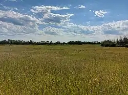 A meadow in the RM