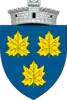 Coat of arms of Păltinoasa