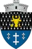 Coat of arms of Putna