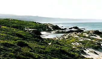 A beach in the De Hoop Nature Reserve