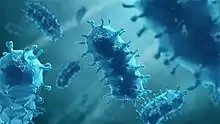 Rendering of the rabies virus