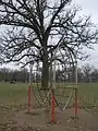 Radar climber in Riverside, Iowa, United States