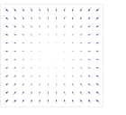 Dense vector field representation.