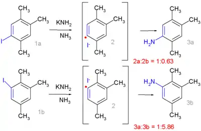 Radical-nucleophilic aromatic substitution Bunnett 1970