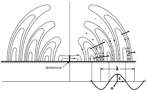 Image 10Diagram of the electric fields (E) and magnetic fields (H) of radio waves emitted by a monopole radio transmitting antenna (small dark vertical line in the center). The E and H fields are perpendicular, as implied by the phase diagram in the lower right. (from Radio wave)