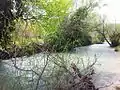 Radobolja river in Ilići, Mostar