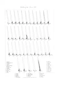 Varieties of Javanese keris.