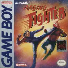 Raging Fighter