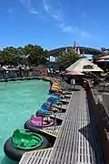 Bumper Boats