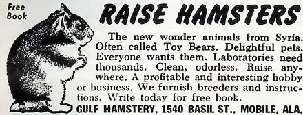 Gulf Hamstery advertisement headlined "Raise Hamsters", with a line drawing of a standing hamster on the left.