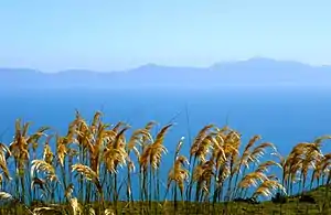 Rakiura and Foveaux Strait viewed from Bluff Hill.