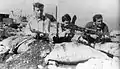 Members of the Yiftach Brigade at Ramot Naftali. 1948