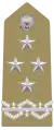 Generale(Italian Army)