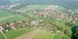 Aerial view of Rapperswil village